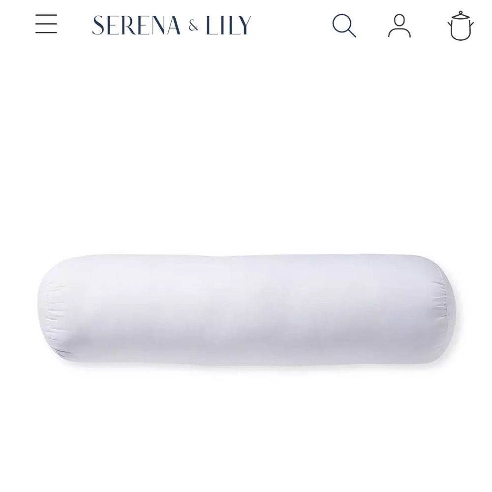 Serena & Lily pillow insert